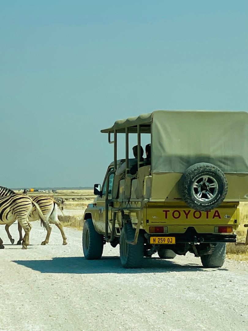 Wildlife