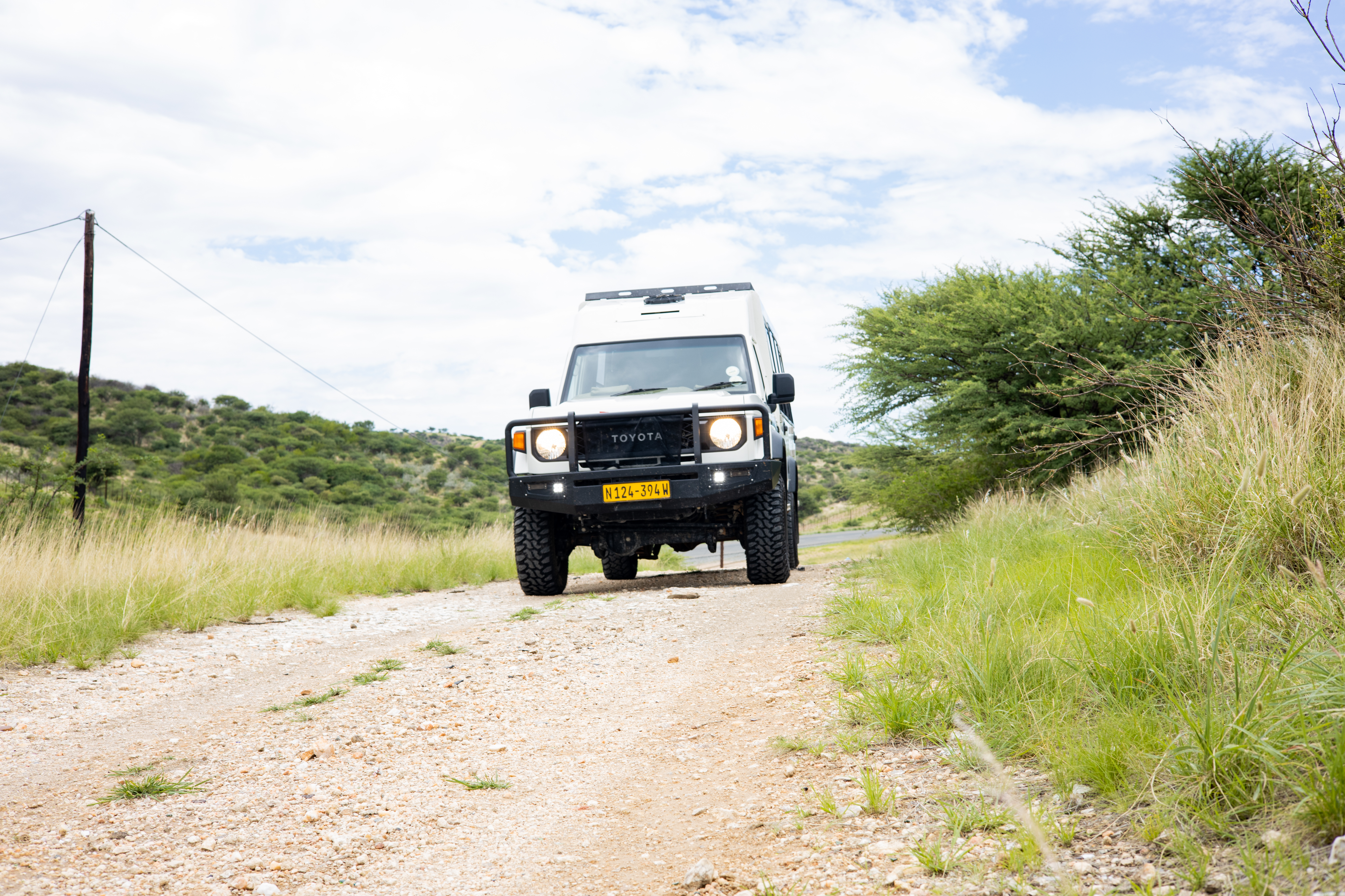Safari experience